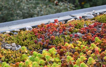 the cost of Mossbrow green roof installation